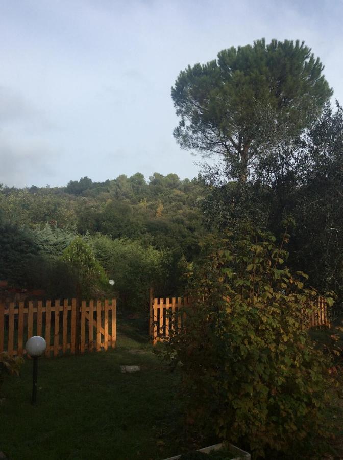 B&B Il Frassino Περούτζια Εξωτερικό φωτογραφία