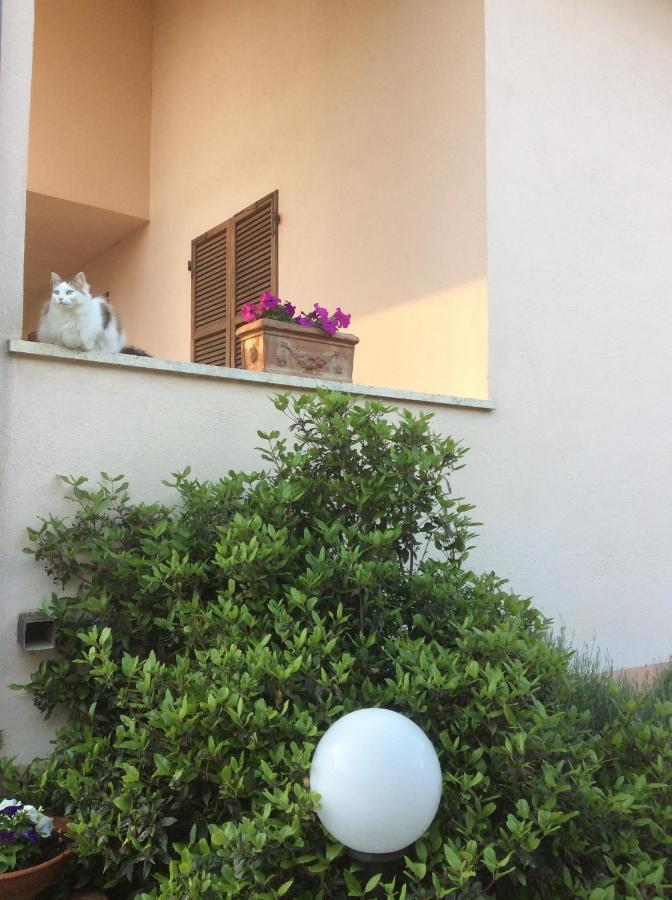 B&B Il Frassino Περούτζια Εξωτερικό φωτογραφία