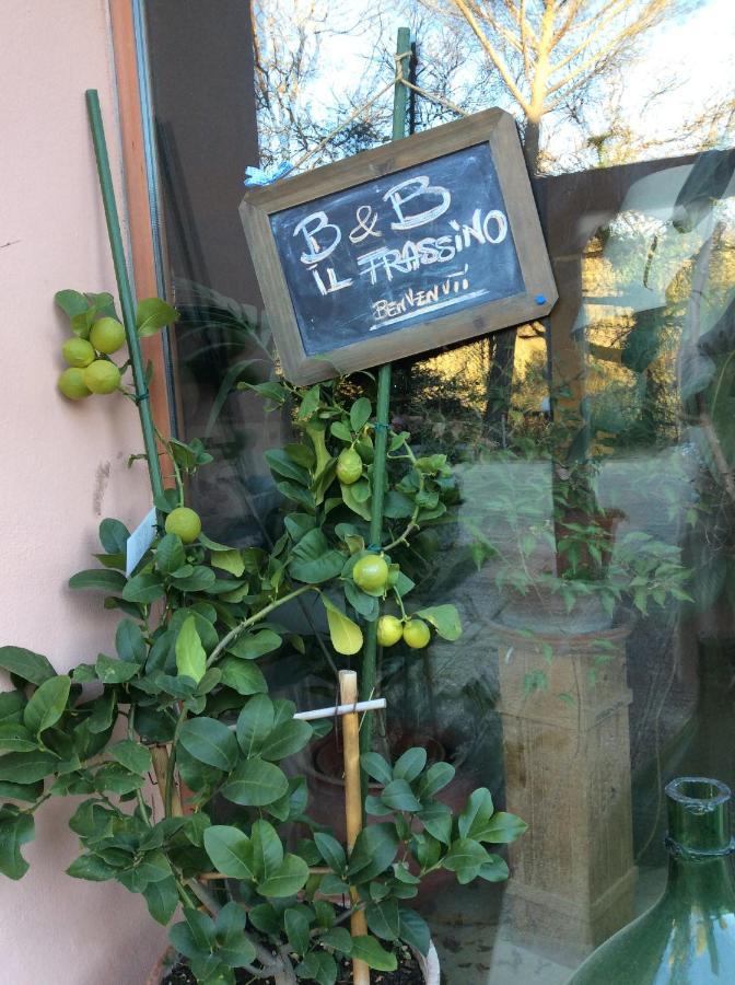 B&B Il Frassino Περούτζια Εξωτερικό φωτογραφία